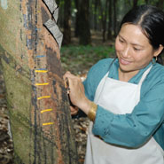 Recolte_Artisanat_Reltex